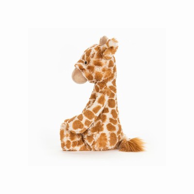 Jellycat Bashful Giraffe | FO5017463